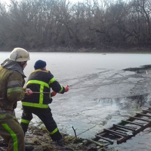 � ����������� ������ ��������� �������, ���� ���������� �� �����