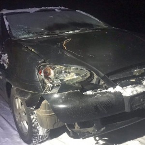 � ���������� ������ �������� ���� ������� � ������ � ������