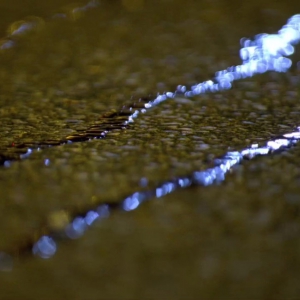 У Полтаві чоловік порізав ножем молодого лікаря за зроблене зауваження — нападник отримав 5 років тюрми У Полтаві чоловік порізав ножем молодого лікаря за зроблене зауваження — нападник отримав 5 років тюрми