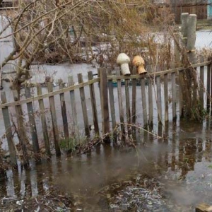 � ������ � ���������� �������� ������, ������ �� �������� ������ ����������� ����������� ���