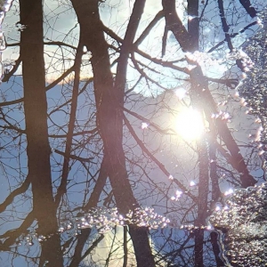 ������ � ������: �������� ��������� � ���������� ���������