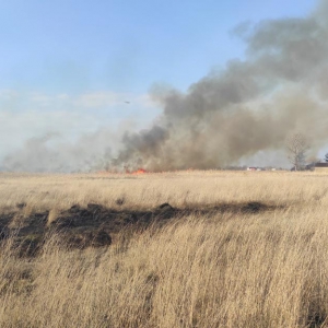 �� ���� �� ���������� ������� 14 �� ���� ����������