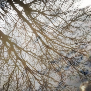 ���������� ����� � ������ ��������� ��������� �� �����