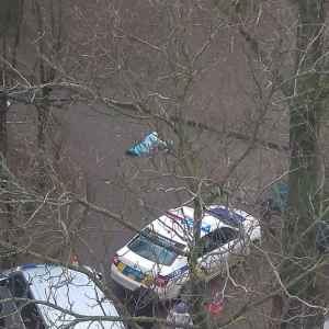 На Алмазному водій мікроавтобуса задавив жінку На Алмазному водій мікроавтобуса задавив жінку