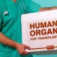 ������������ ������ ����� ���������� � ���� ��������