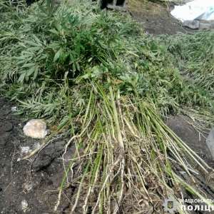 ��������� �������� ������� �� ����� ������ �������� ���������� �������