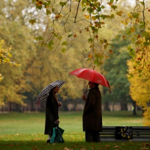 Погода у Полтаві: наступний тиждень буде прохолодним і з дощами Погода у Полтаві: наступний тиждень буде прохолодним і з дощами