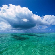 ������������� ����� ����� ��������� � ������ 