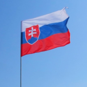 Cловаччина хоче передати Україні 10 своїх МіГ-29, а 11-й – відправити в музей – Associated Press Cловаччина хоче передати Україні 10 своїх МіГ-29, а 11-й – відправити в музей – Associated Press