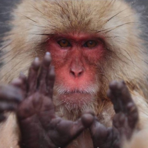 �� ������ ���������� ������� ���� � ���������� ����������� ���������������