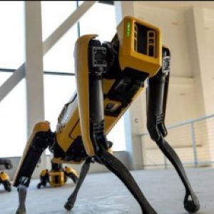США хочуть передати собак-роботів Spot для розмінування українськиї територій
