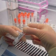 ������ ������� � ������� ��������� ����������� ������ �� ��������� ������