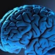 ������������� ����� �������� ����� �������