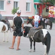 � ��������� �������� ���������� �������� � ������� ����