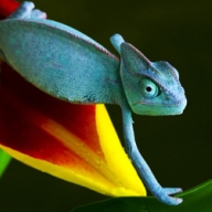 � ������ ������� ���� ����� ��������� ��� ��������� � ������