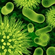 �� ����� ���������� ���������� �����, ������� ����� � ��� �� ������ �������