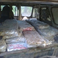 Гражданина России задержали на украинской границе с тонной мороженой рыбы Гражданина России задержали на украинской границе с тонной мороженой рыбы