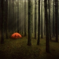 В Донбассе дерево убило мужчину, отдыхавшего в палатке В Донбассе дерево убило мужчину, отдыхавшего в палатке