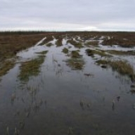 В Житомирской области спасатели «выудили» 78-летнего охотника, который застрял в болоте В Житомирской области спасатели «выудили» 78-летнего охотника, который застрял в болоте