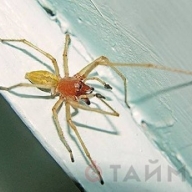 ��� ������� ��������� ������� �����, ����� ������� �������� �������� ����