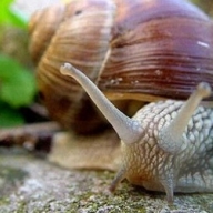 ��������� ������� ������� ����� ������