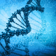 ��� ������� �������� �������� ������ ��� ������