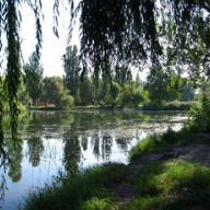 ����������� ���� �������� � ������� / ���� ��� ��������