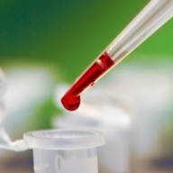 � ����� ����� ���� 