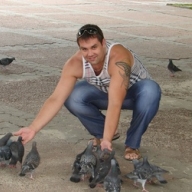 ��� ����������� �������� �������� ������� �� �����