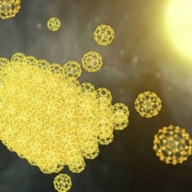 ������ ������� ������� ���������