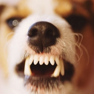 ���������� ������ �������� ������, ��� ��������� ������ � ���� ��� �������