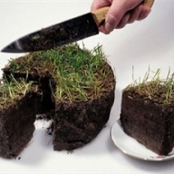 Под Симферополем крымские татары захватили территорию будущего рынка Под Симферополем крымские татары захватили территорию будущего рынка