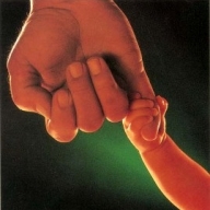 � �������� �������� ���� ���