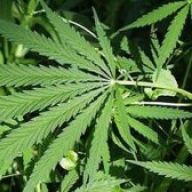 ³�������� ���������� ������� ����� 1500 �� ���������