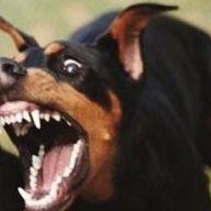 � ��������� ������ �������� ����� ������ ���������, � ����� ������� ��� �� �����