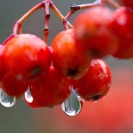 ��� ������� ���� ���������: ������� �� 5 ������