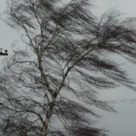 7 ������ ���� ������� �����