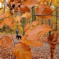 ��� ������� ���� ���������: ������� �� 8 ������