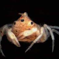 ������ ���������� ����� � ����� �������