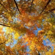 На вихідних вінничан чекає ясна, тепла погода На вихідних вінничан чекає ясна, тепла погода