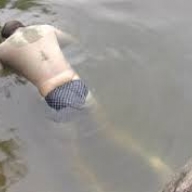 � �������� ���� ������� ������������ ����