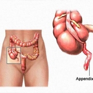 ���������� ����� ������ �������������