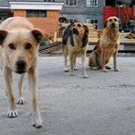 � ��������� ����� ��������� 3 ���. ������ �� ����� ��� ��������