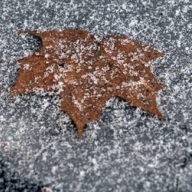 ��� �� ������� � ����� ������� ������ ����