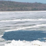 Автомобиль с тремя людьми утонул в озере Автомобиль с тремя людьми утонул в озере