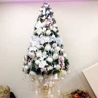 Асмус и Харламов показали елку Асмус и Харламов показали елку