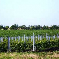 � ����������� ������ ������ �������� �������� ��� ���� ������� ��� �� �����-���������