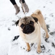 ��� ������� ���� ���������: ������� �� 28 ������