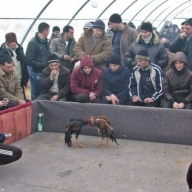 ��������� ��� � �����: ��������� �� 4 ����, ����� �������� �� ���� � ��������� ������ �������