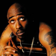 � ������ ������ ������ ����